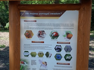 3 czerwca 2022 roku - NIEZWYKŁY DZIEŃ w GMINIE WITONIA, 